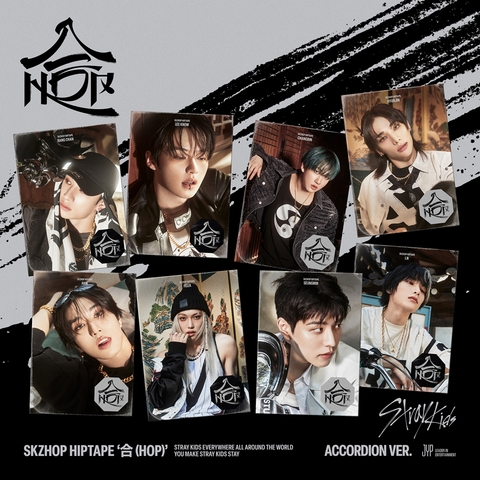 Stray Kids 스트레이키즈| BOY GROUP K-MONSTAR